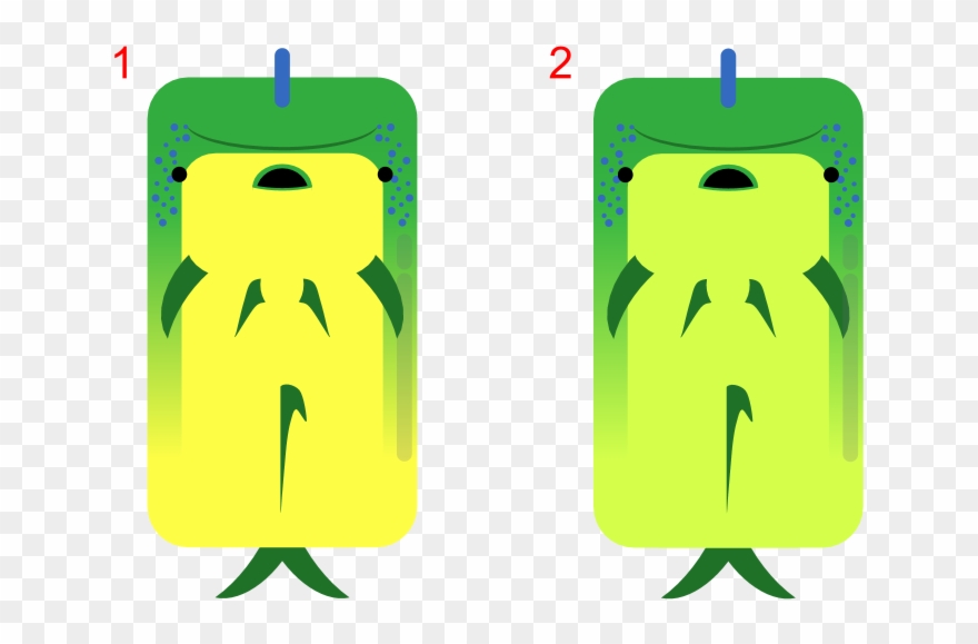 Animal[animal] Mahi Mahi Clipart