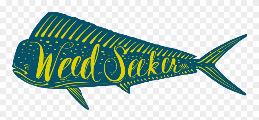 Image Of Weed Seeker Clipart