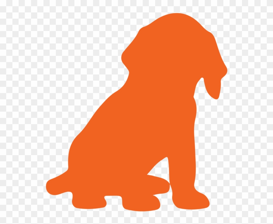 Photo Updates Clipart