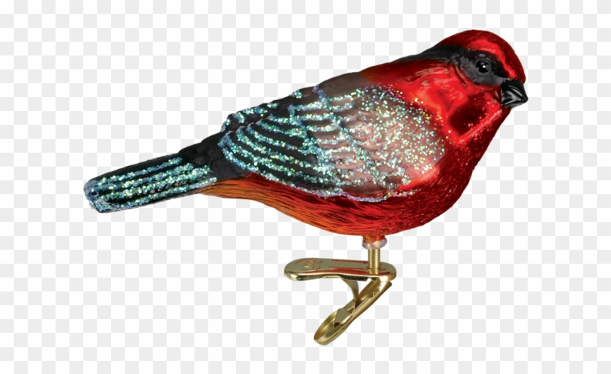 Old Word Christmas Vermillion Flycatcher Bird Glass Clipart