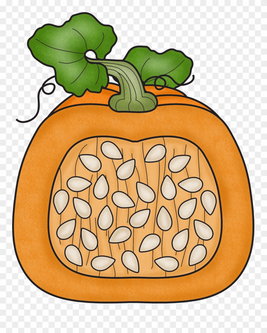 We Measured Our Pumpkin's Height And Circumference, Clipart
