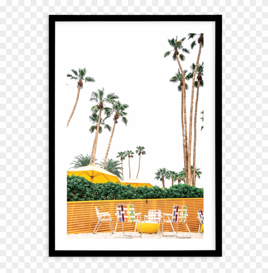 Palm Springs Clipart