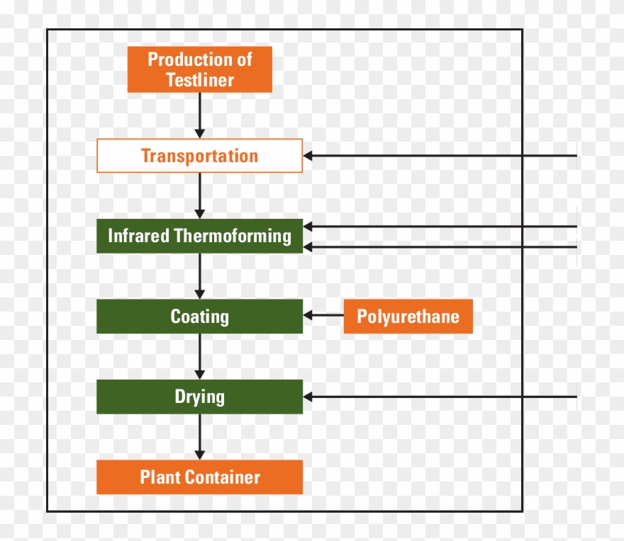 Schematic Flow Chart For The Production Processes Of Clipart