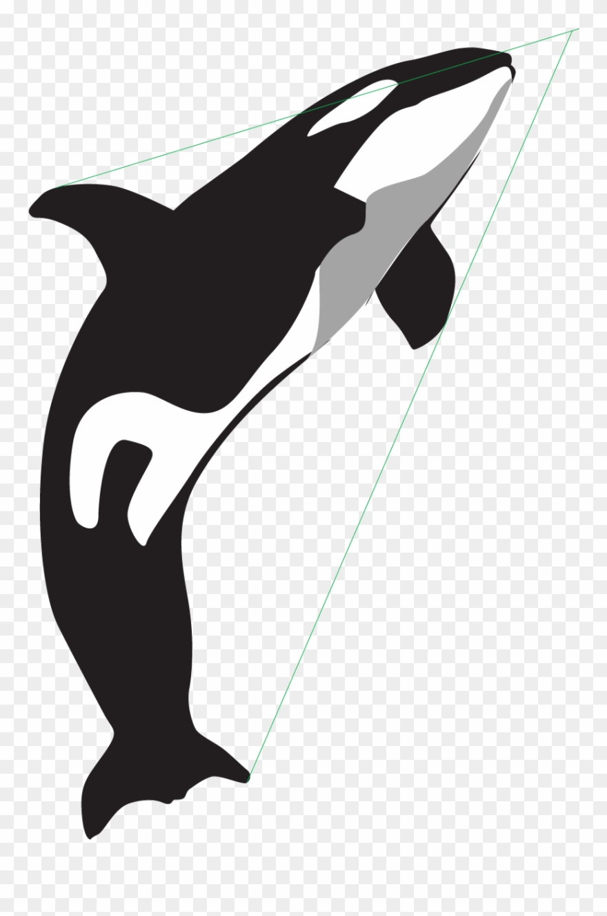 Oriental Whales Is A Channel Targeted At Large Investors Clipart