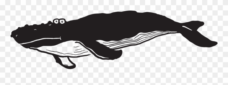 Transparent Whale Dark Clipart