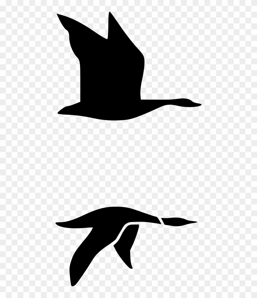 Nature, Personal Use, Loons, Clipart