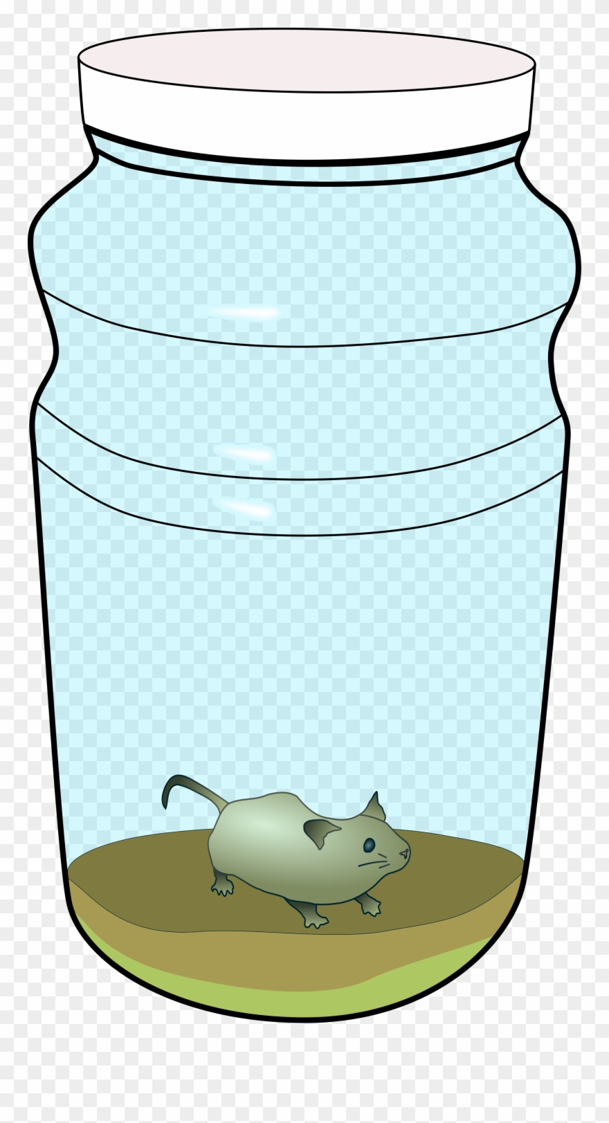 File Flaschengarten Mit Maus Ohne Wikimedia Commons Clipart