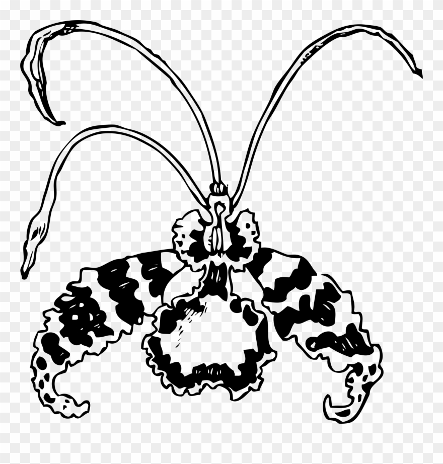 Big Image Png Clipart