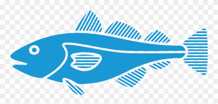 Striper Fishing With Steve Brettell Vector Free Library Clipart