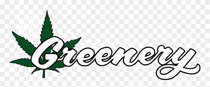 Http - //absinthe-films - Com Clipart