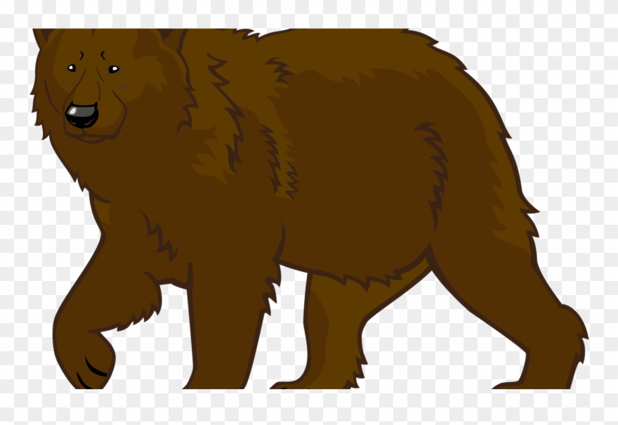 Polar Clipart Grizzly Bear Pencil And In Color Polar - Png Download