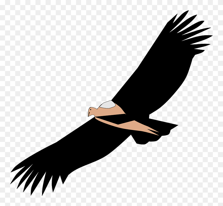 Picture Black And White Wings Pencil And In Color Clipart