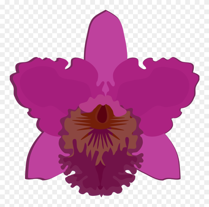 Clipart Cattleya 07b Business Hours Clip Art New Hours - Png Download