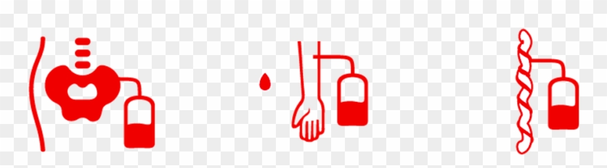 Stem Cell And Bone Marrow Donor Registry Stem Cell Clipart