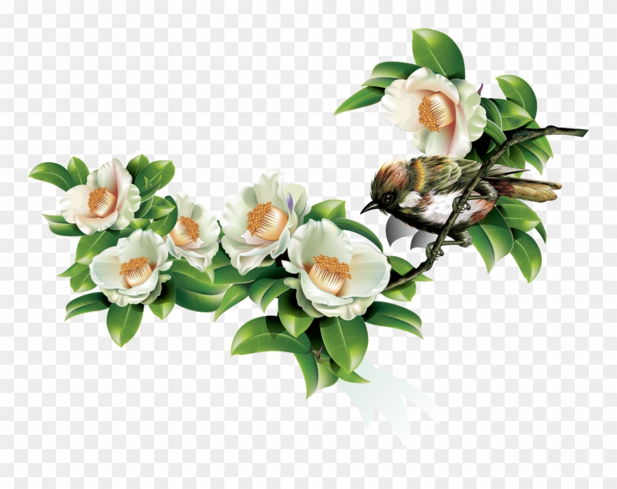 Green Leaves And Birds In Spring Clipart