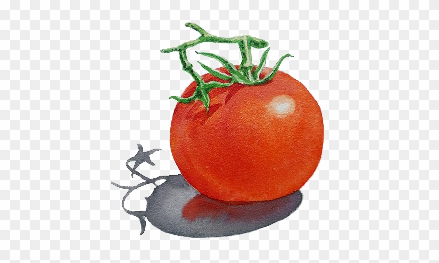 Png Free Art Painting Illustration Tomato Transprent Clipart