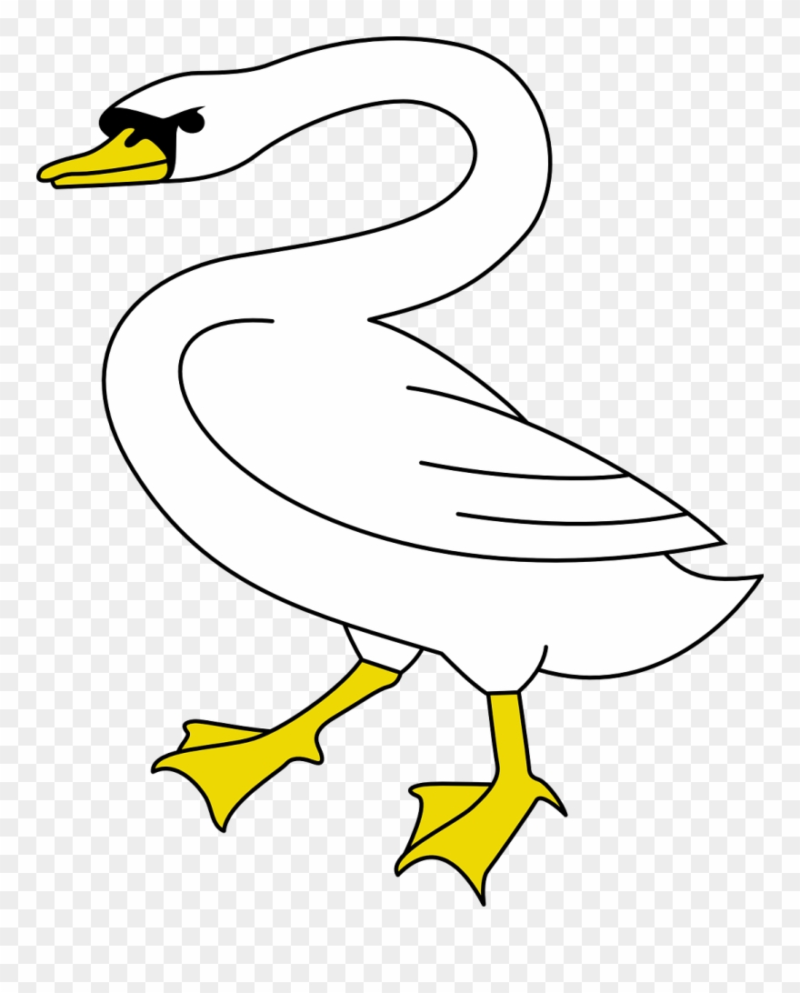 Bird Swan Animal Stand Walk Png Image Clipart