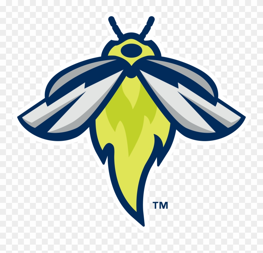 2015fc-hc Color Vt Tim Tebow, Florida Gators, Sports Clipart