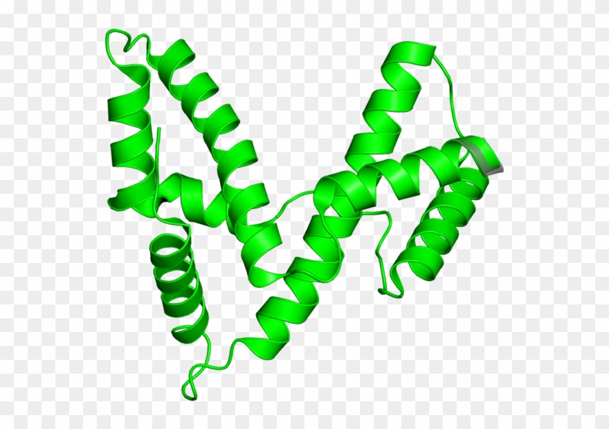 <div Class='caption-body'>1 Copy Of Cath Domain < Clipart