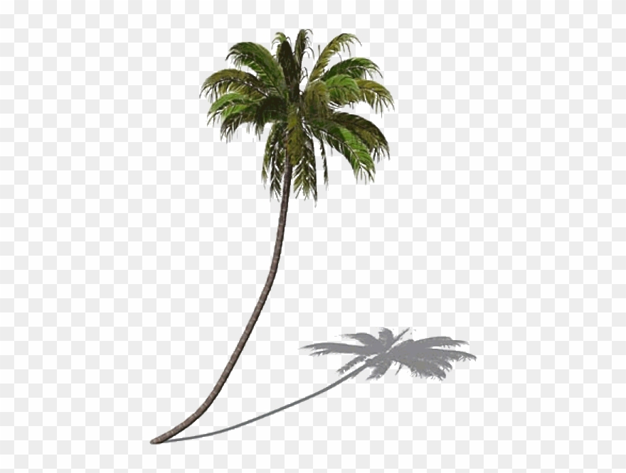 Palm Tree Clipart Swaying - Png Download