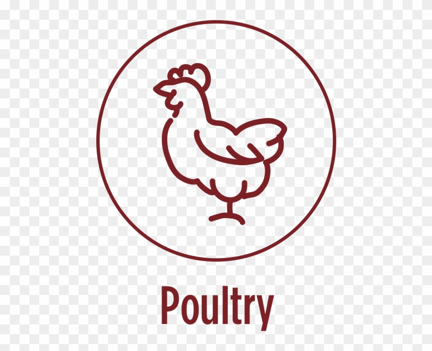 Enjoy It With A Flavorful Chicken Or Salmon Dish Clipart