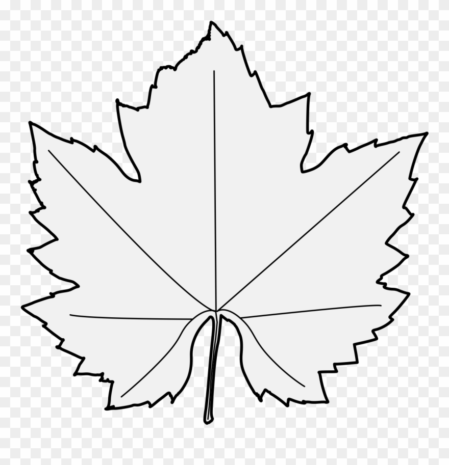 Pdf Clipart