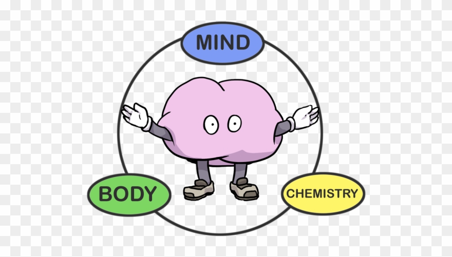 Massages Clipart Kinesiology - Png Download