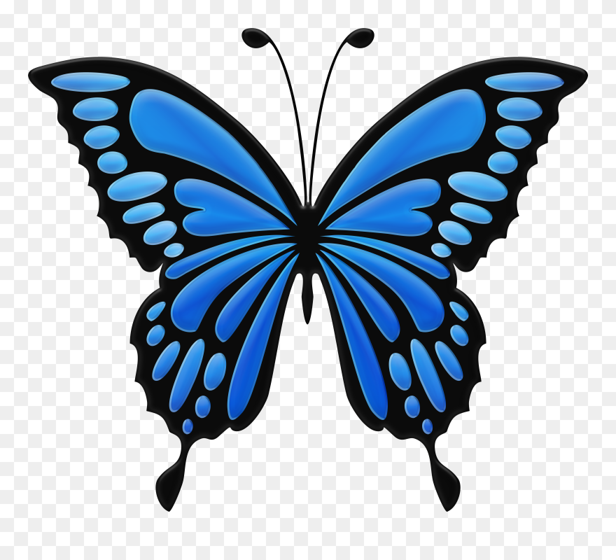 Download Blue Butterfly Clipart Png Photo Transparent Png