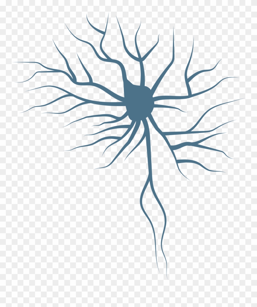 Clinical Neuroscience Major Clipart