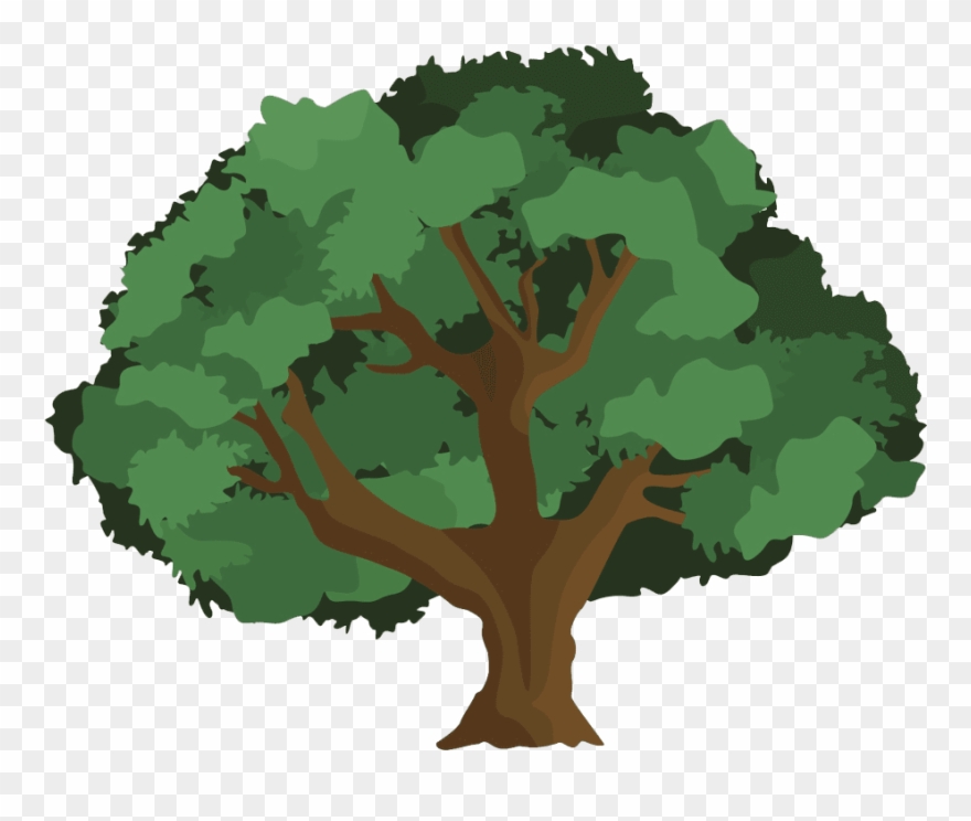 Clip Art Oak Tree Images - Png Download