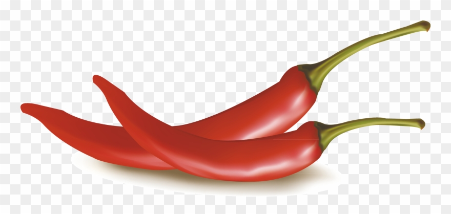 Chili Drawing Cayenne Pepper Clipart
