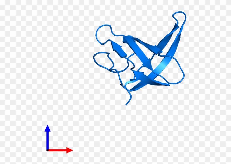 <div Class='caption-body'>pdb Entry 1csp Contains 1 Clipart