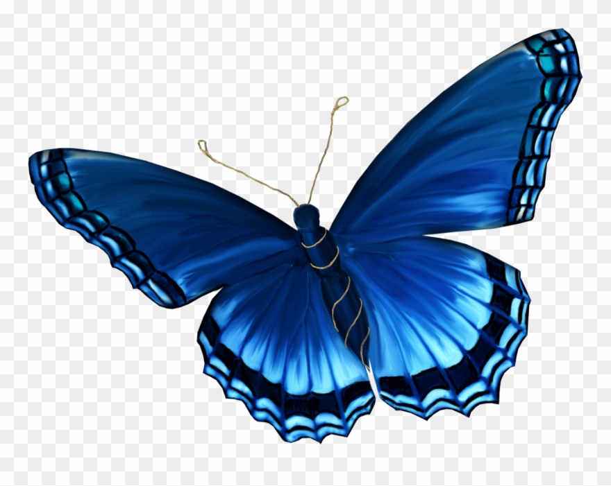 Бабочки Клипарт На Прозрачном Фоне Картинки Clipart