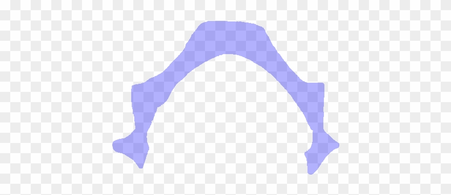 Vertebral Arch Vertebral Foramen Clipart