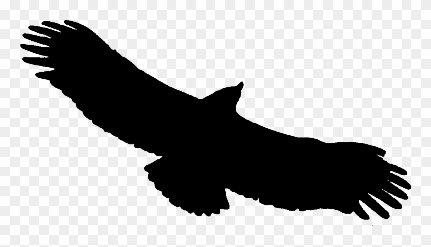 May 2016 Safehaven Update Clipart