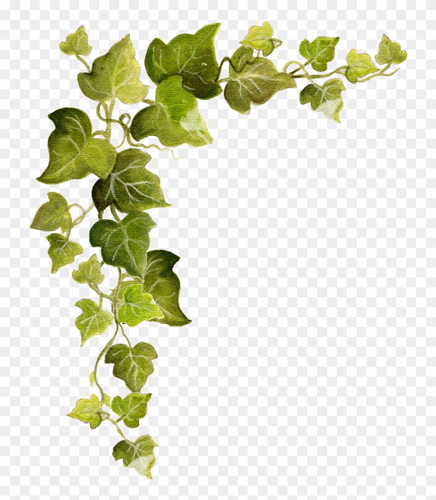 Ivy Snip Flickr Photo Sharing Pumpkin Corner Border Clipart