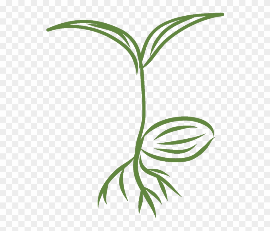 Sprout Healthy Seeds Clipart