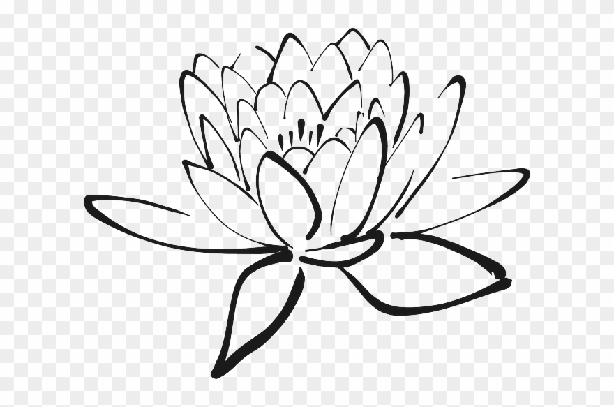 Lotus Clipart Chakra - Png Download