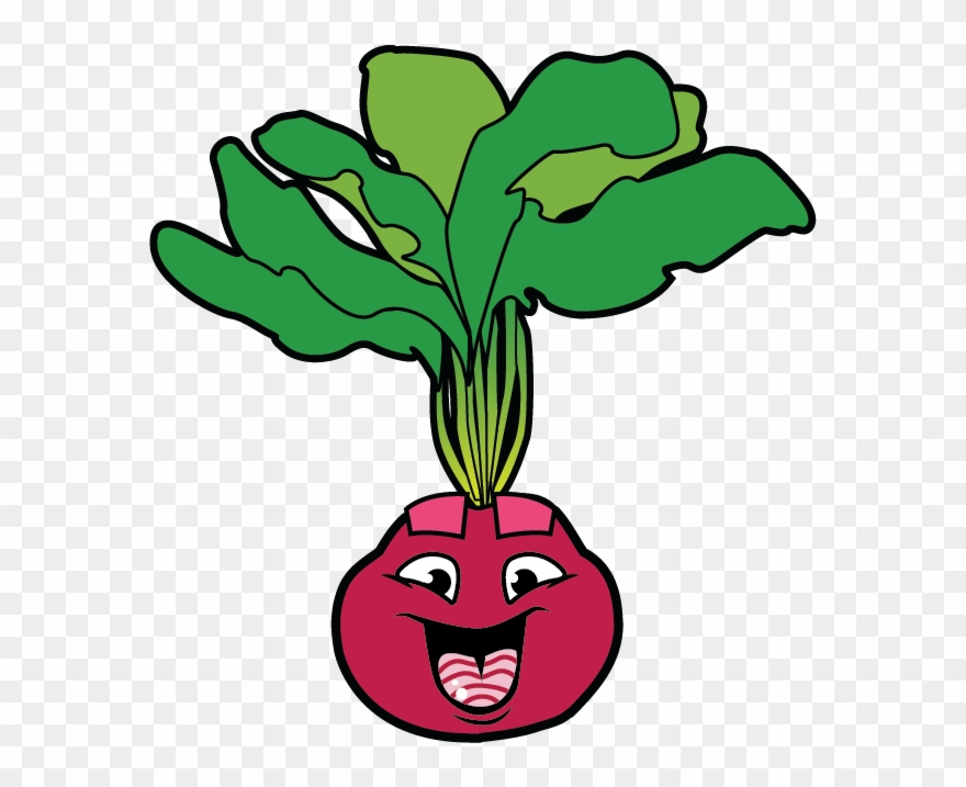 Chioggia Beet Clipart