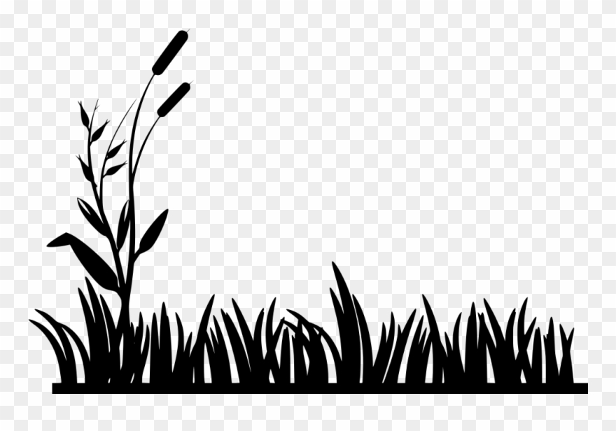 Lawn Vector Herbal Clipart