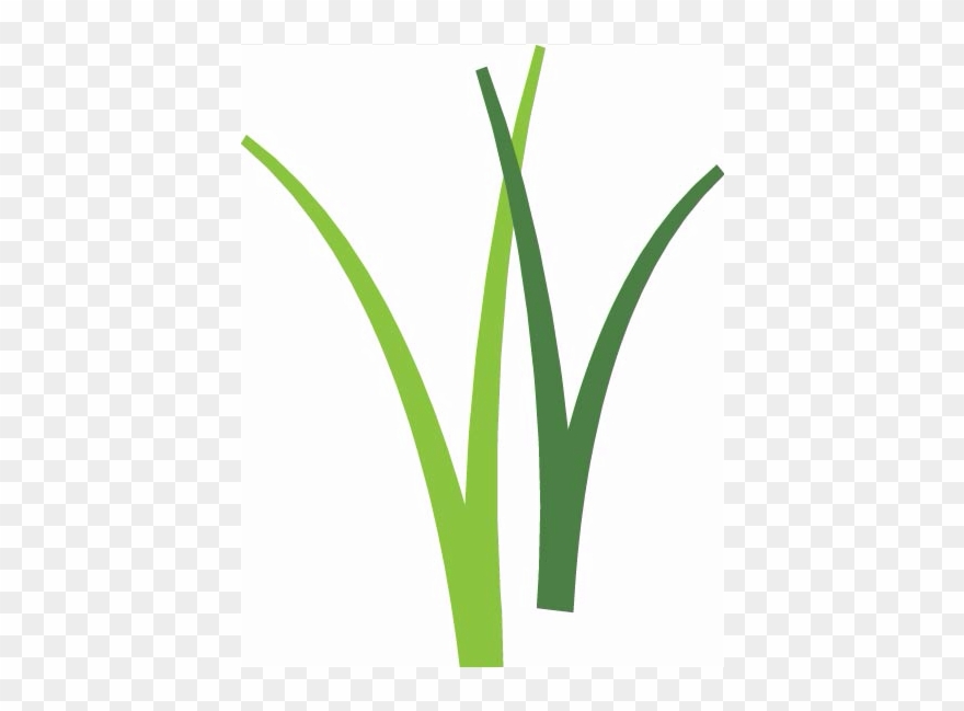 "the Most Beautiful Thing We Can Experience Is The Clipart