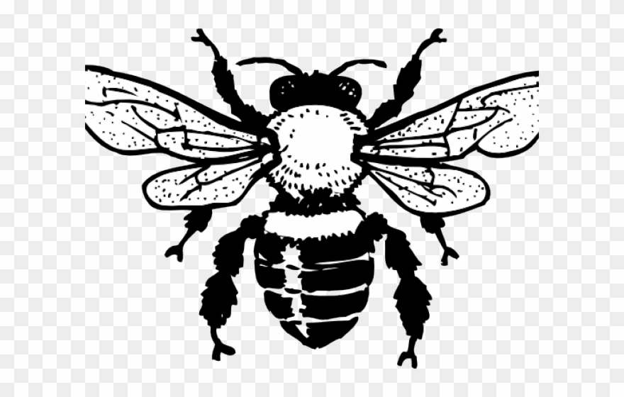 Gucci Clipart Bee - Png Download