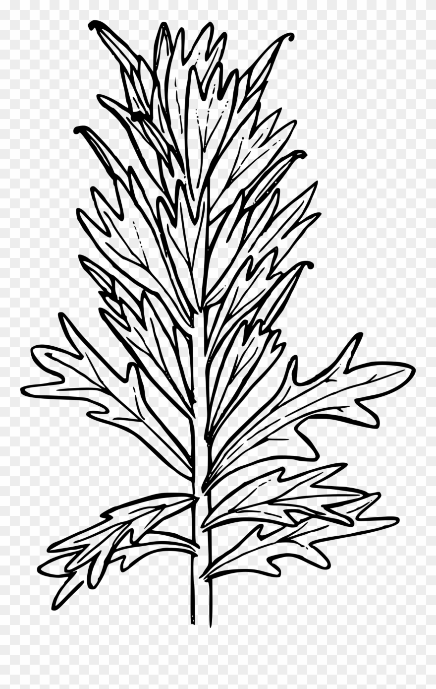 Harsh Paintbrush Clipart