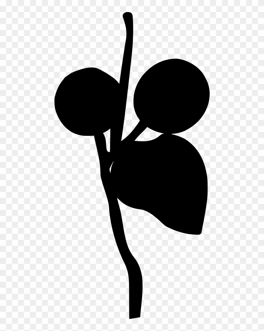 Info Clipart