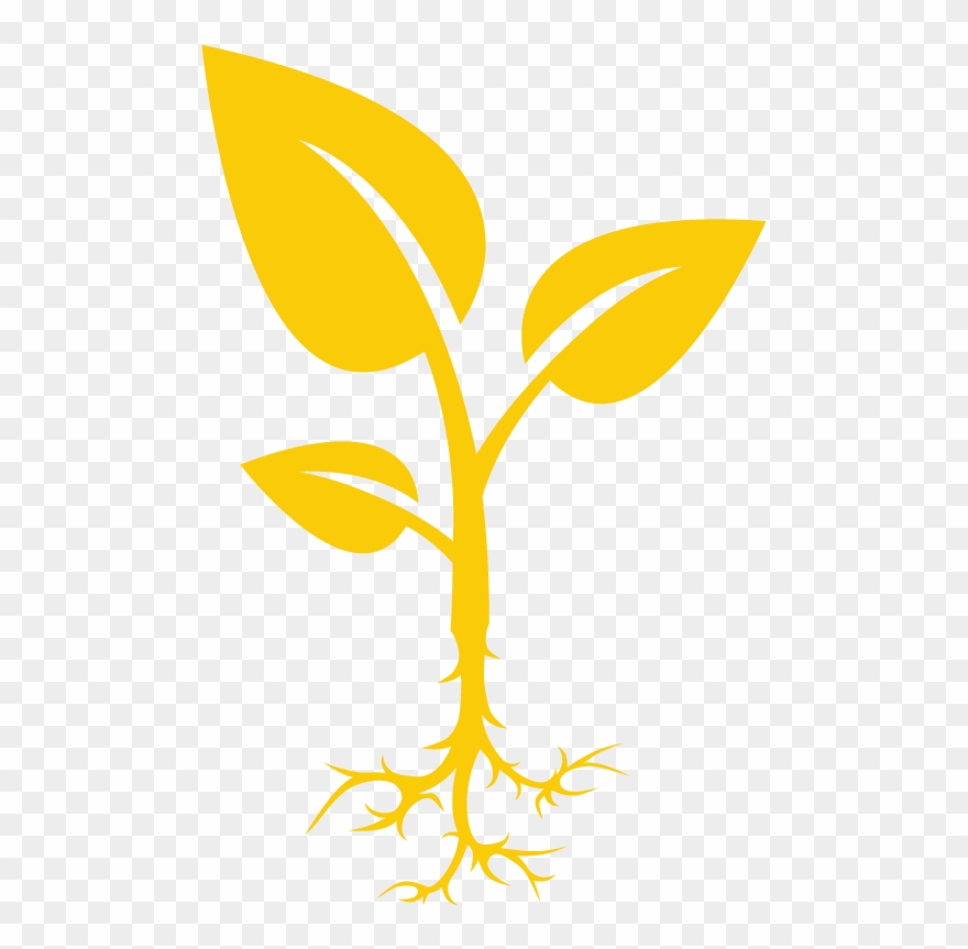 Native And Endangered Trees Planted Clipart
