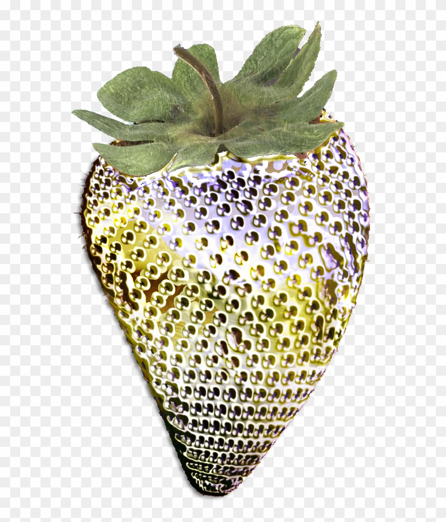 Mt Design/geode Shirts Under The Sponsorship Of Crystalsoft Clipart