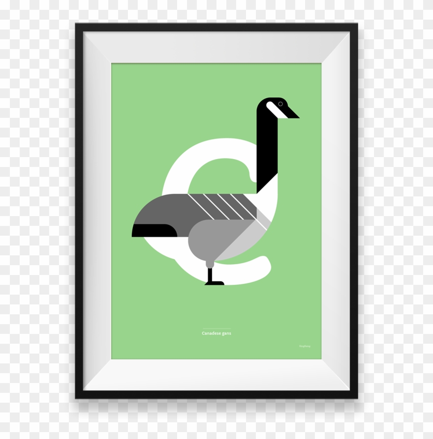 Canadese Gans Print Clipart