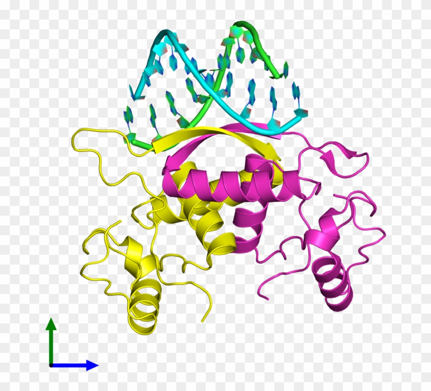 Pdb 1mjm Coloured By Chain And Viewed From The Front Clipart