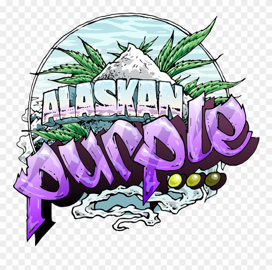 Get A Discount On Alaskan Purple Cannabis Seeds With Clipart