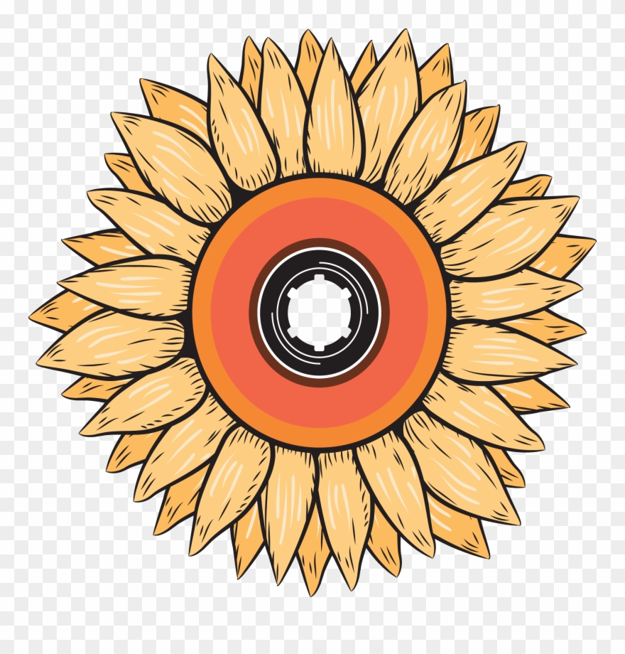 Breezy Boards Is A Fresh And Upcoming Longboard Company Clipart